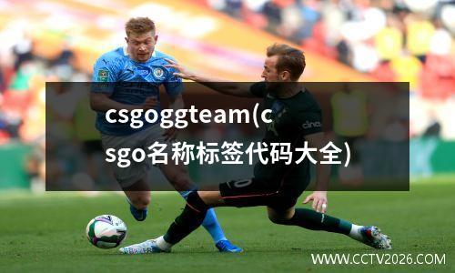 csgoggteam(csgo名称标签代码大全)