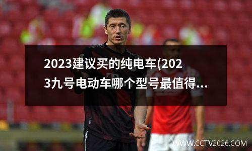 2023建议买的纯电车(2023九号电动车哪个型号最值得买)