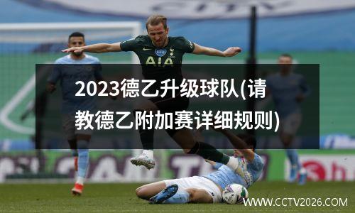 2023德乙升级球队(请教德乙附加赛详细规则)
