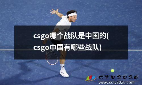 csgo哪个战队是中国的(csgo中国有哪些战队)