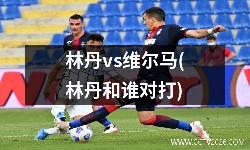 林丹vs维尔马(林丹和谁对打)