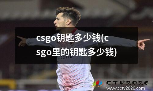 2013中国功夫vs泰拳(中国功夫与泰拳的历次交锋)