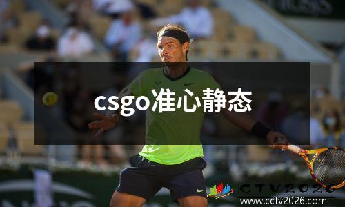 csgo准心静态