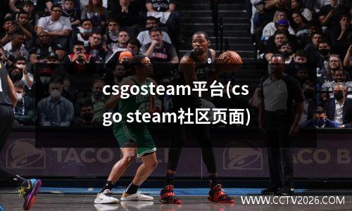 csgosteam平台(csgo steam社区页面)