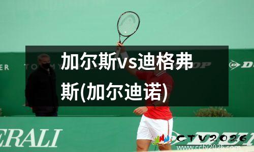 加尔斯vs迪格弗斯(加尔迪诺)