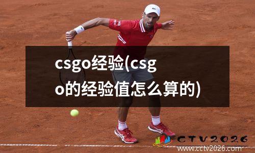 csgo经验(csgo的经验值怎么算的)