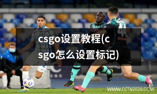 csgo设置教程(csgo怎么设置标记)