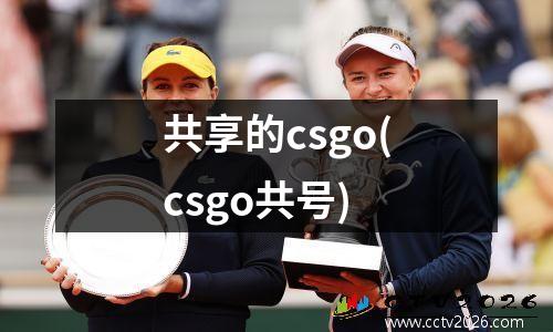 共享的csgo(csgo共号)