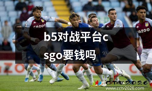 b5对战平台csgo要钱吗