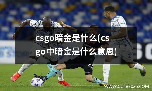 csgo暗金是什么(csgo中暗金是什么意思)