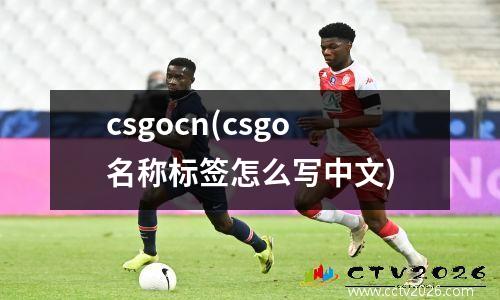 csgocn(csgo名称标签怎么写中文)