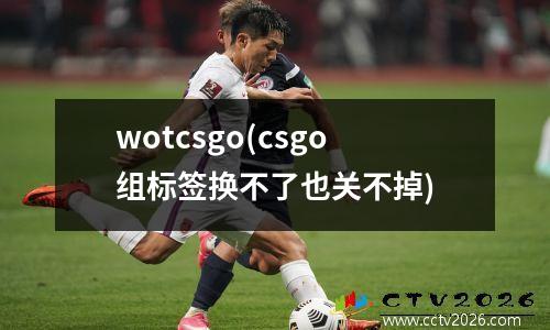 wotcsgo(csgo组标签换不了也关不掉)