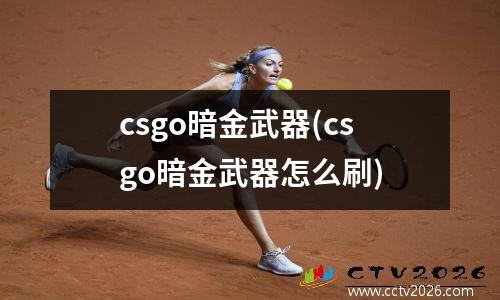 csgo暗金武器(csgo暗金武器怎么刷)