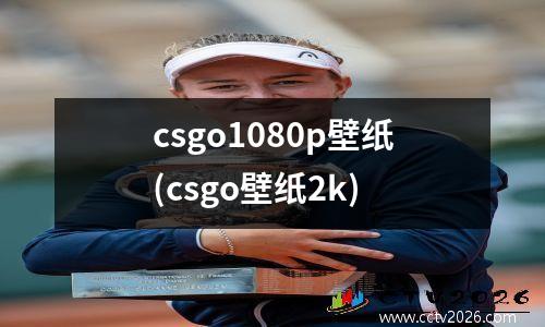 csgo1080p壁纸(csgo壁纸2k)