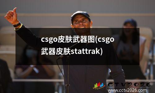csgo皮肤武器图(csgo武器皮肤stattrak)