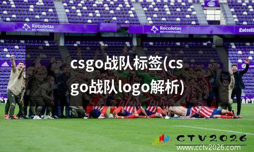 csgo战队标签(csgo战队logo解析)