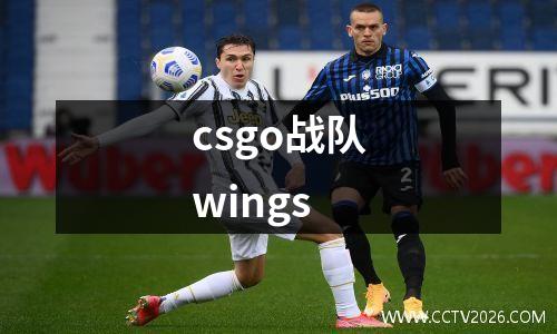csgo战队wings