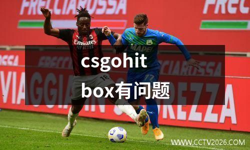 csgohitbox有问题
