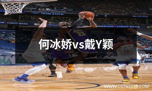 何冰娇vs戴Y颖