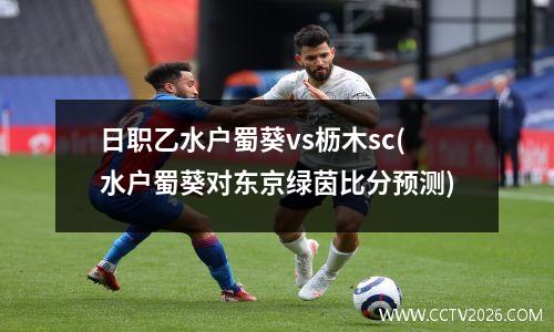 日职乙水户蜀葵vs枥木sc(水户蜀葵对东京绿茵比分预测)
