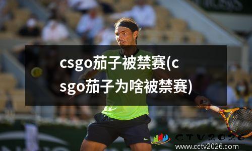 csgo茄子被禁赛(csgo茄子为啥被禁赛)