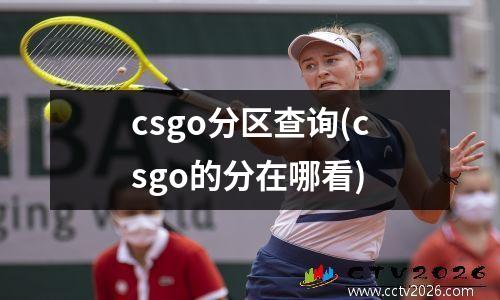 csgo分区查询(csgo的分在哪看)