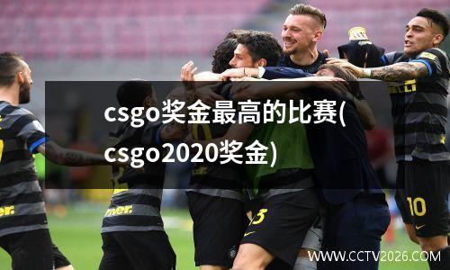 csgo奖金最高的比赛(csgo2020奖金)
