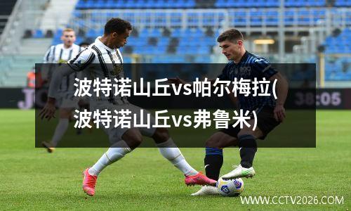 波特诺山丘vs帕尔梅拉(波特诺山丘vs弗鲁米)