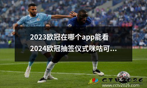 延边富德vs比利时球队(延边富德球迷)
