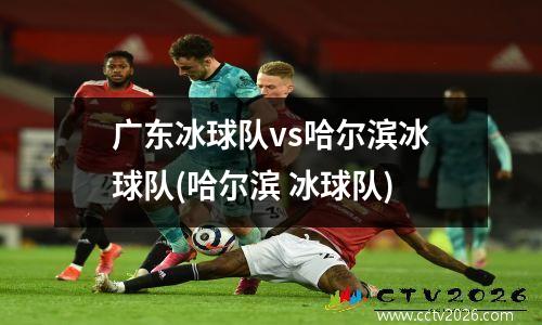 广东冰球队vs哈尔滨冰球队(哈尔滨 冰球队)