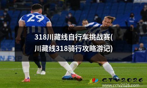 2012葡萄牙vs荷兰c罗(2012年欧洲杯葡萄牙对西班牙c罗进球)