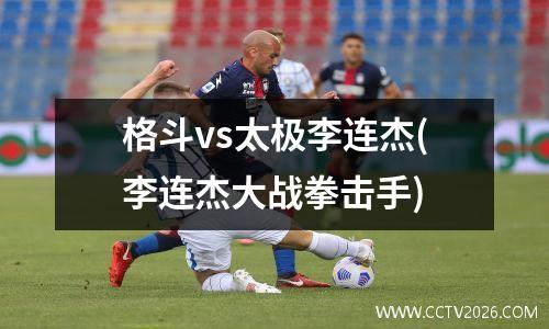 格斗vs太极李连杰(李连杰大战拳击手)