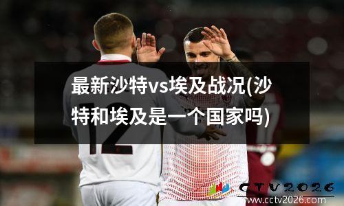 最新沙特vs埃及战况(沙特和埃及是一个国家吗)