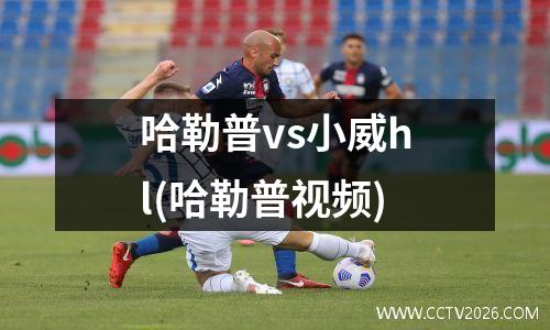 哈勒普vs小威hl(哈勒普视频)