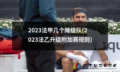 2023法甲几个降级队(2023法乙升级附加赛规则)