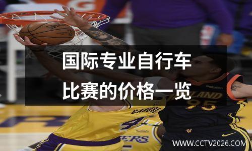 国际专业自行车比赛的价格一览