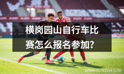 中国轮椅篮球队vs美国轮椅篮球队(中国轮椅篮球最好成绩)
