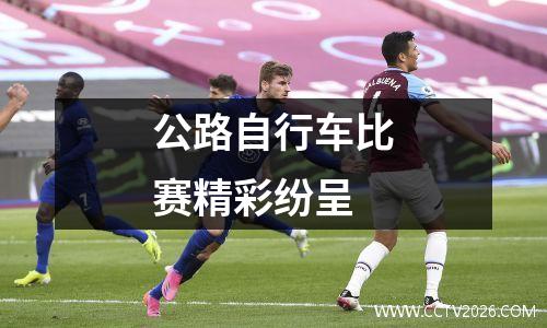 公路自行车比赛精彩纷呈
