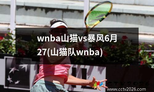 wnba山猫vs暴风6月27(山猫队wnba)