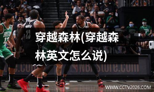 穿越森林(穿越森林英文怎么说)