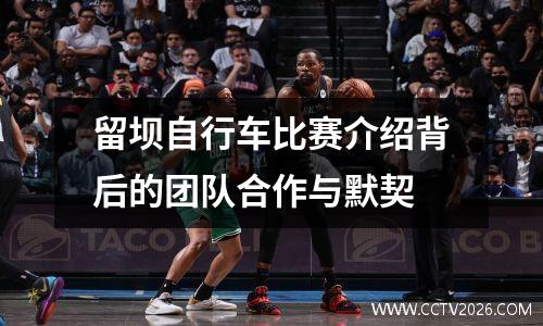 留坝自行车比赛介绍背后的团队合作与默契