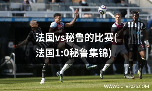 法国vs秘鲁的比赛(法国1:0秘鲁集锦)