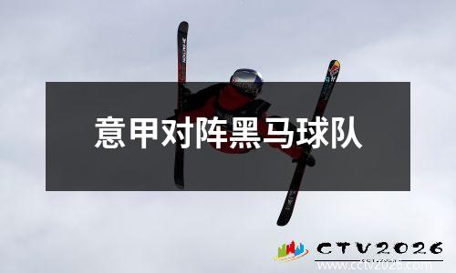 意甲对阵黑马球队