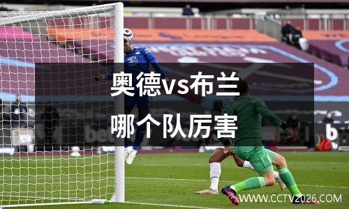奥德vs布兰哪个队厉害