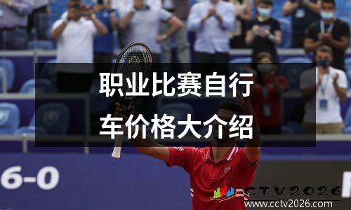 职业比赛自行车价格大介绍