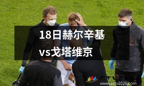18日赫尔辛基vs戈塔维京