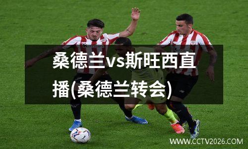 桑德兰vs斯旺西直播(桑德兰转会)