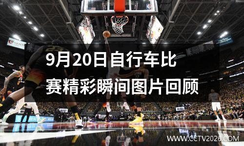 2024年欧预赛赛程？欧洲杯预选赛出线规则谁知道