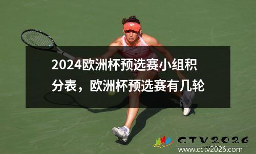 2024欧洲杯预选赛小组积分表，欧洲杯预选赛有几轮
