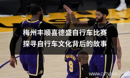 巴西vs巴拉圭图文直播(巴西对巴拉圭的战绩)